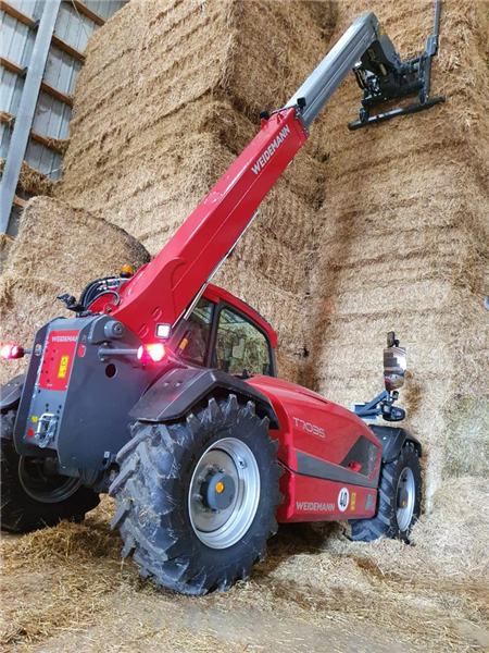 Weidemann