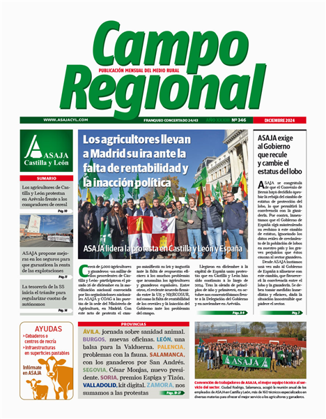 Campo Regional
