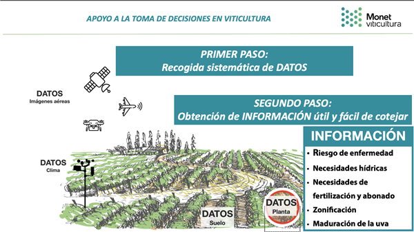 Presentación Apoyo a la toma de decisiones en viticultura