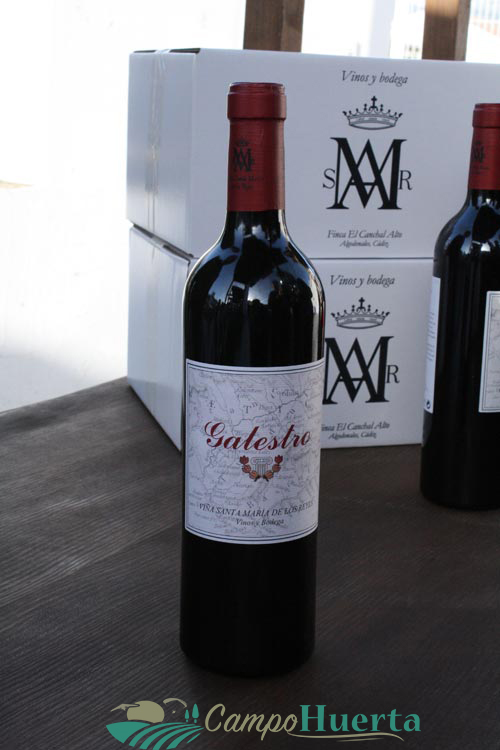 VINOS - LOS REYES