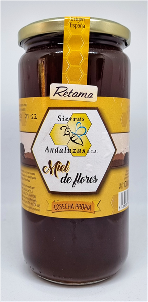 Api-Romero