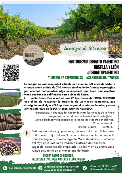 BODEGA PAGOS DE NEGREDO
