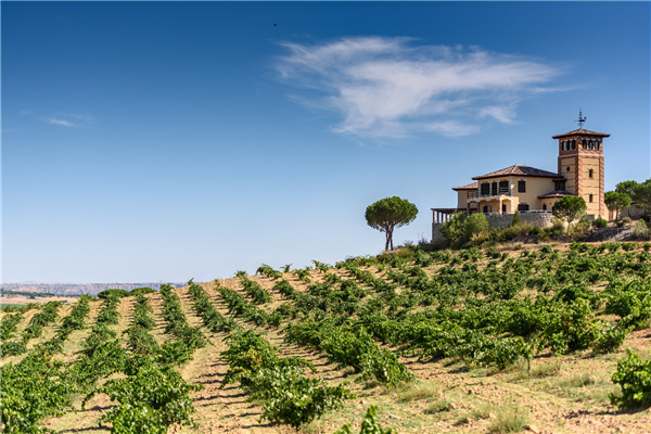 Bodegas Piedra