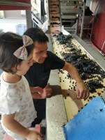 BODEGAS LUIS CAÑAS