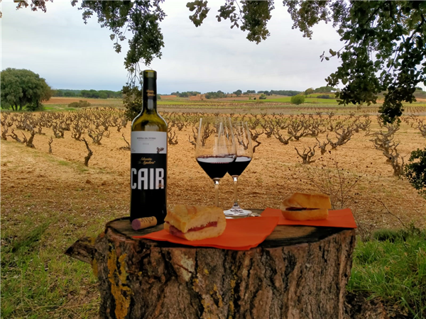 BODEGAS DOMINIO DE CAIR