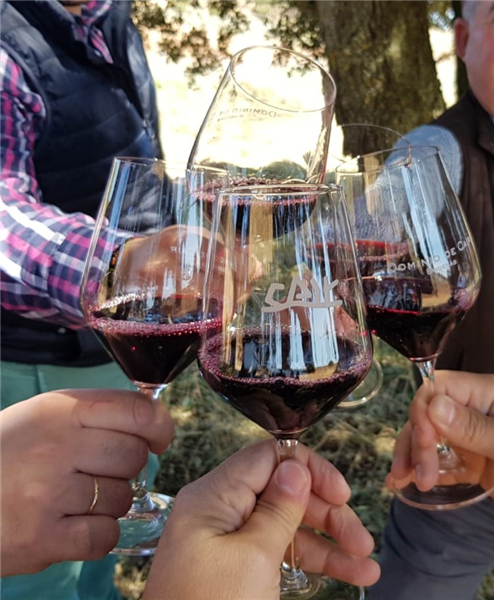 BODEGAS DOMINIO DE CAIR