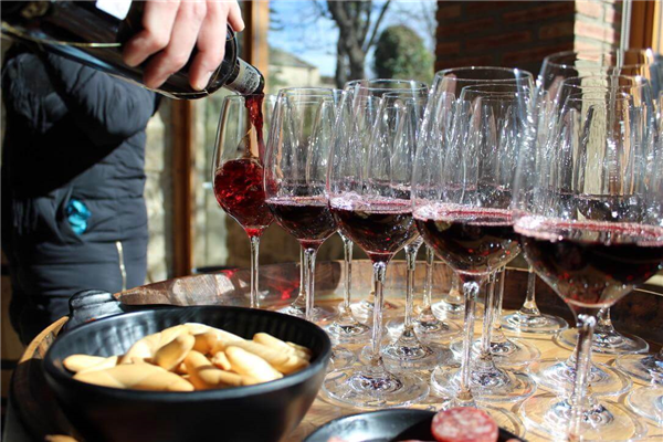 Cata de vinos de Cantabria en Santander