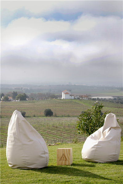 Wine Tasting – Your Way