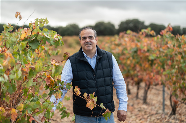 BODEGA PAGOS DE NEGREDO. PALENZUELA (PALENCIA. CASTILLA Y LEÓN. SPAIN)