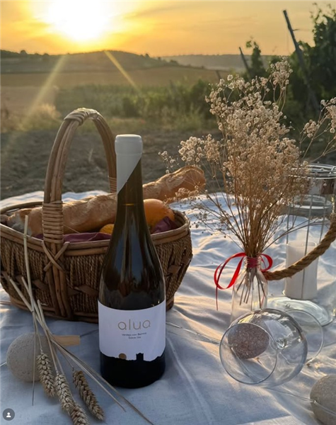 EXPERIENCIAS ENOTURÍSTICAS ALBA DE CERRATO (BODEGA CARREPRADO) PALENCIA. CASTILLA Y LEÓN. ESPAÑA 