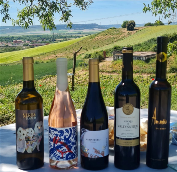 EXPERIENCIAS ENOTURÍSTICAS TORQUEMADA (BODEGA VALDESNEROS)  PALENCIA. CASTILLA Y LEÓN. ESPAÑA 