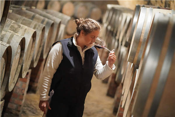 BODEGA REMIGIO SALAS. DUEÑAS (PALENCIA. CASTILLA Y LEÓN. ESPAÑA)