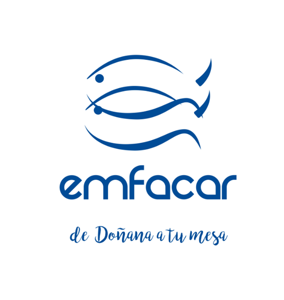 EMFACAR