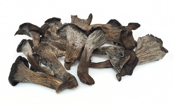 HONZA NATURAL FOODS