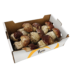 HONZA NATURAL FOODS