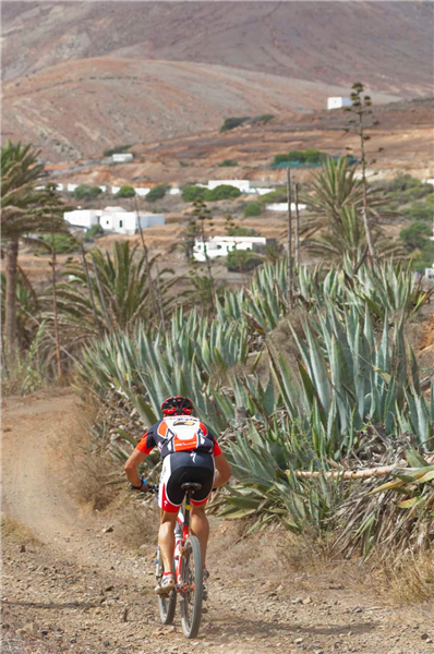 PATRONATO DE TURISMO DE FUERTEVENTURA